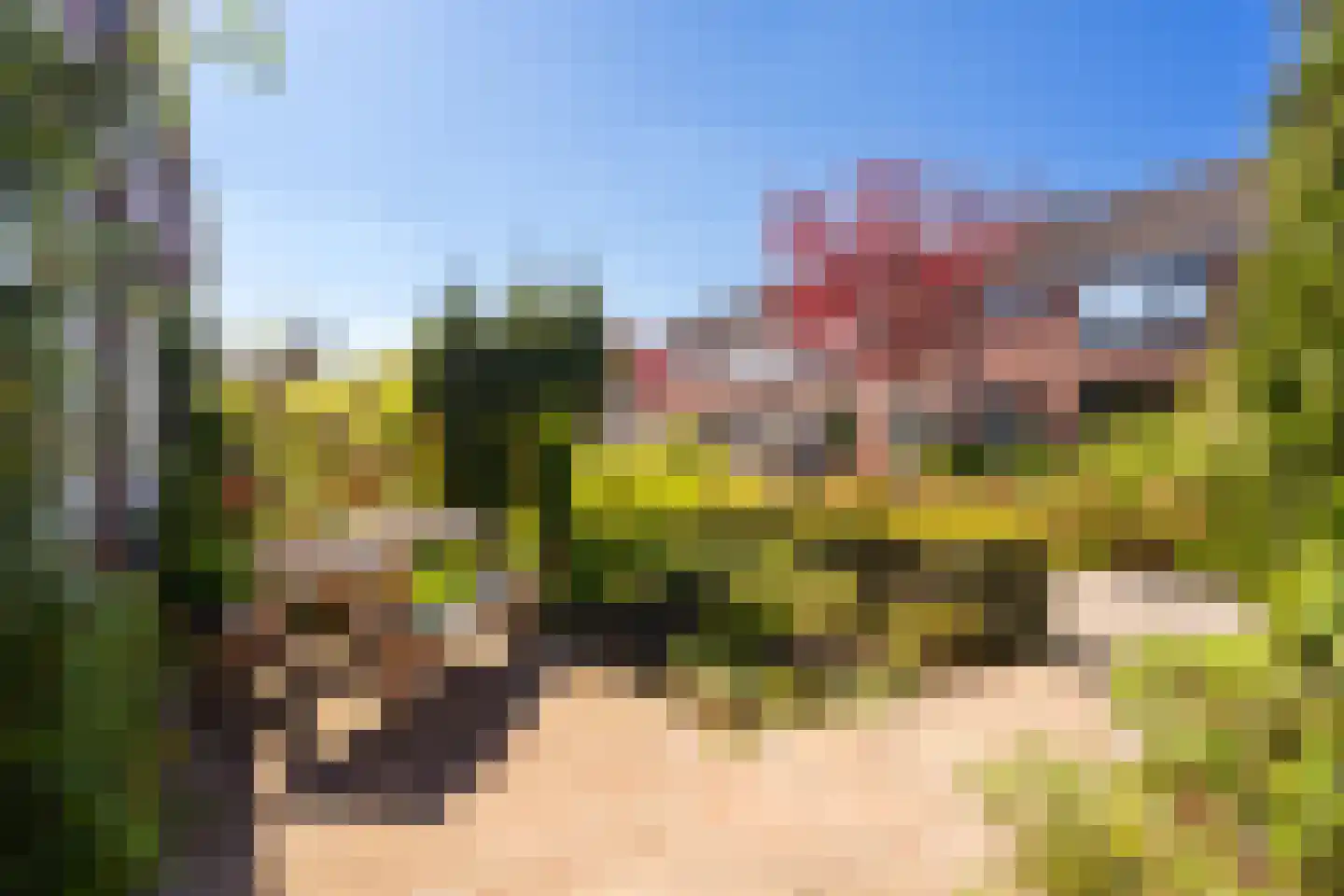 Planciuslaan 14 Gouda thumbnail 26