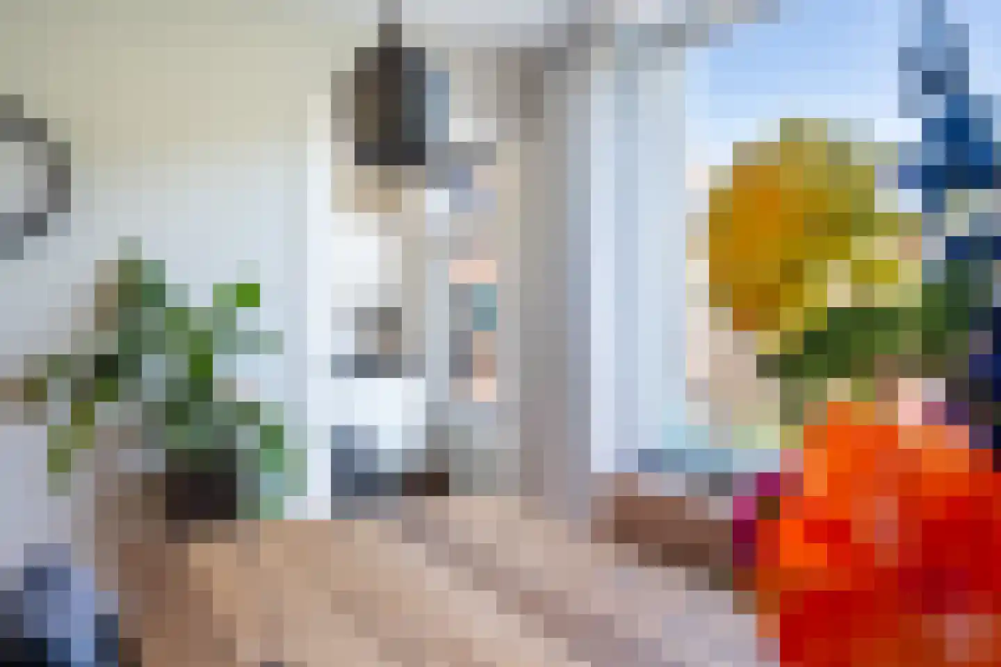 Planciuslaan 14 Gouda thumbnail 9
