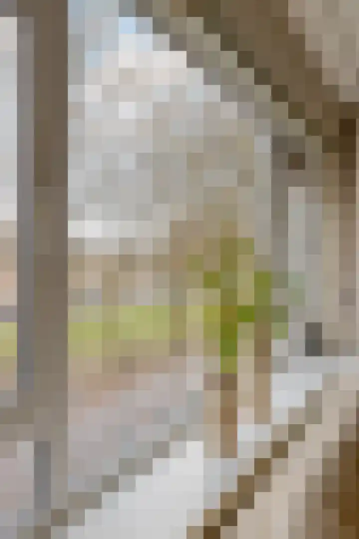 Planciusplein 20 B Breda thumbnail 12