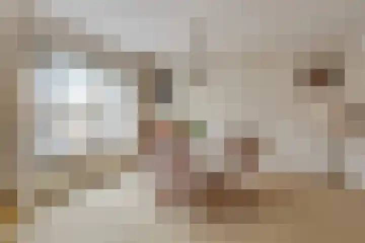 Planciusplein 20 B Breda thumbnail 14