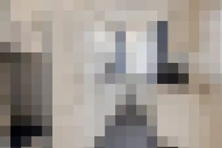 Planciusplein 20 B Breda thumbnail 20