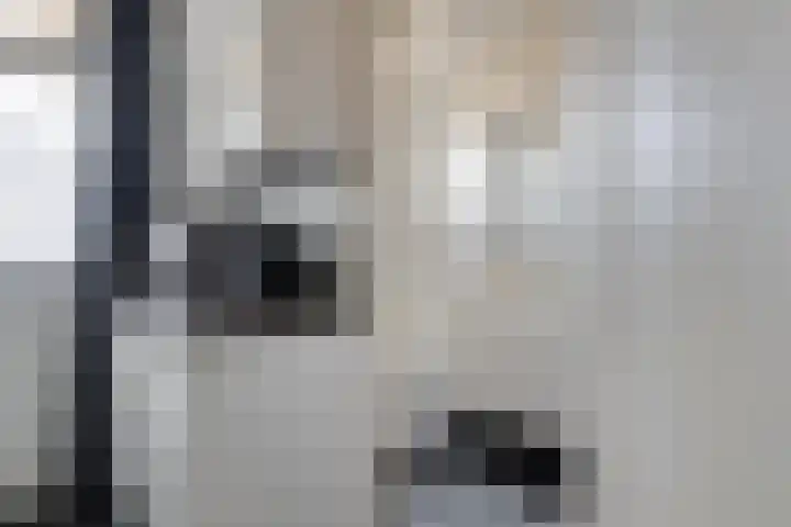 Planciusplein 20 B Breda thumbnail 22