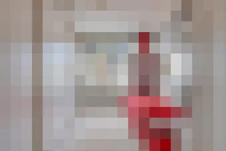 Planciusplein 20 B Breda thumbnail 27