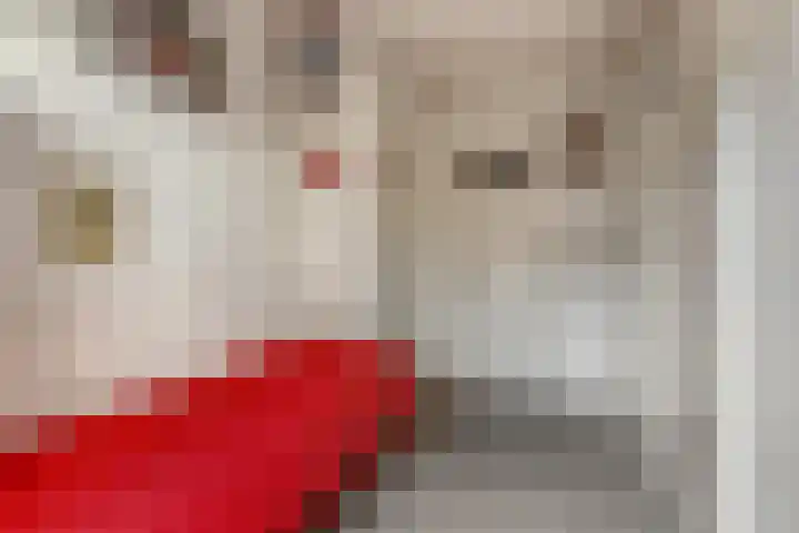 Planciusplein 20 B Breda thumbnail 28