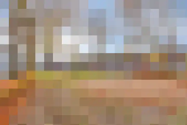 Planciusplein 20 B Breda thumbnail 34