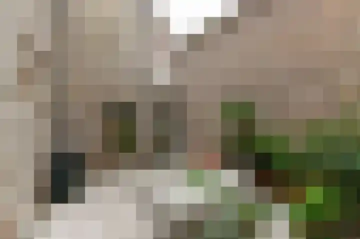 Planciusplein 20 B Breda thumbnail 35