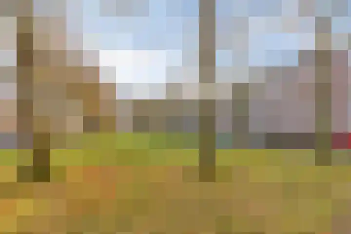 Planciusplein 20 B Breda thumbnail 36