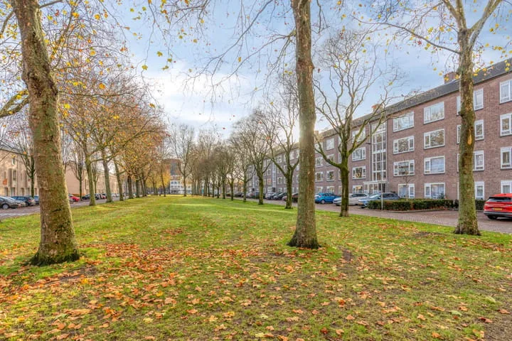 Planciusplein 20 B Breda thumbnail 36