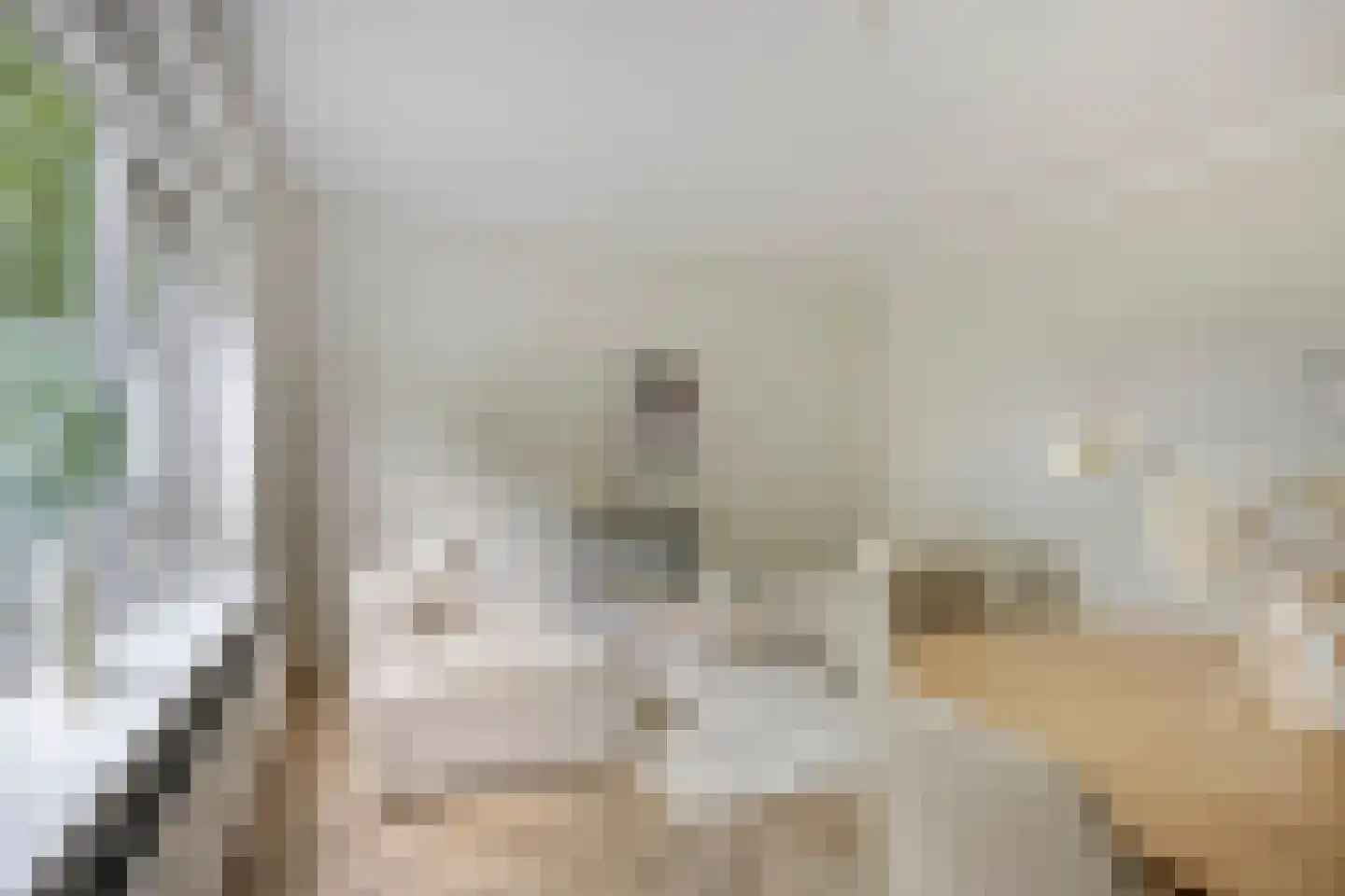 Planciusplein 20 Breda thumbnail 12