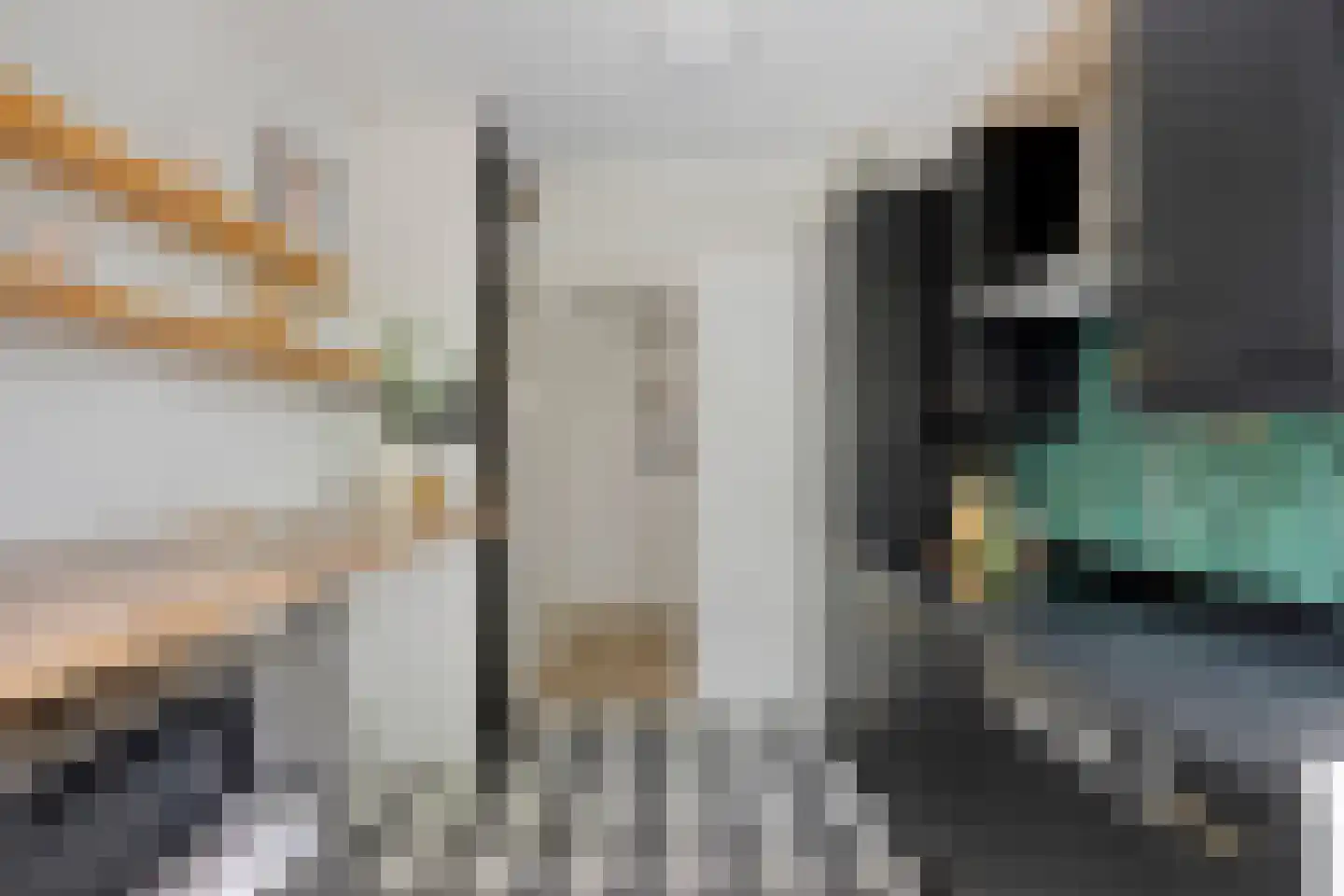 Planciusplein 20 Breda thumbnail 15