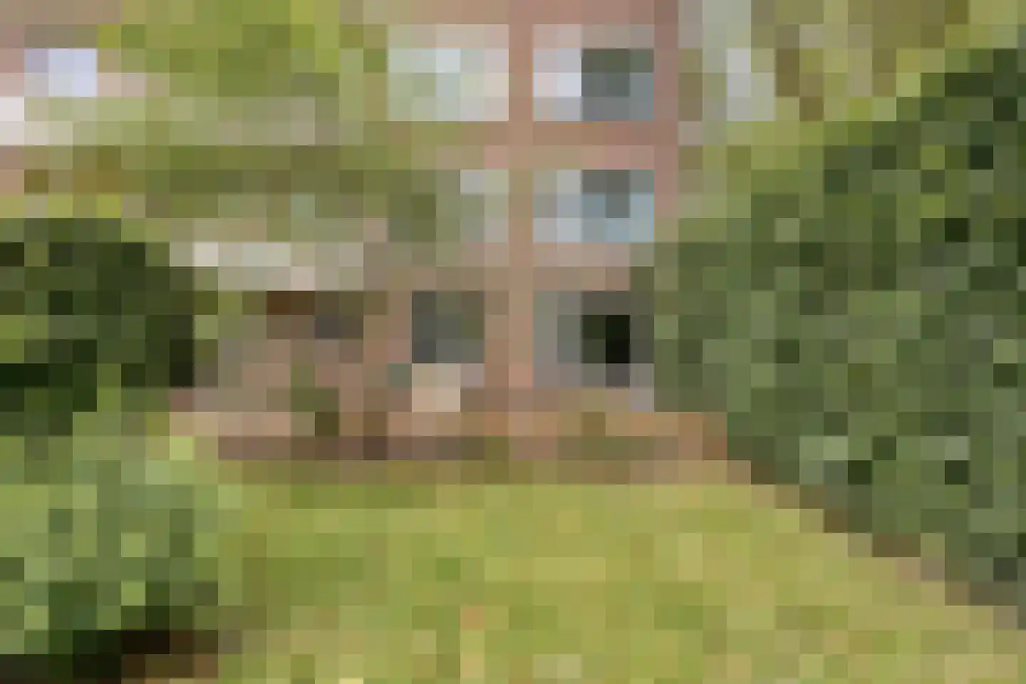 Planciusplein 20 Breda thumbnail 26