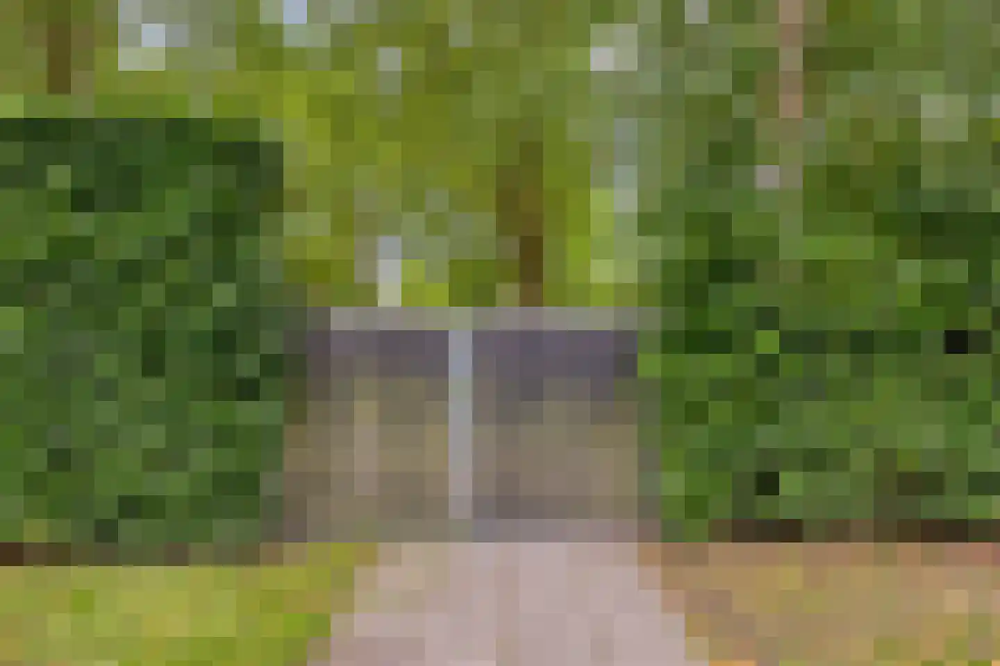 Planciusplein 20 Breda thumbnail 27