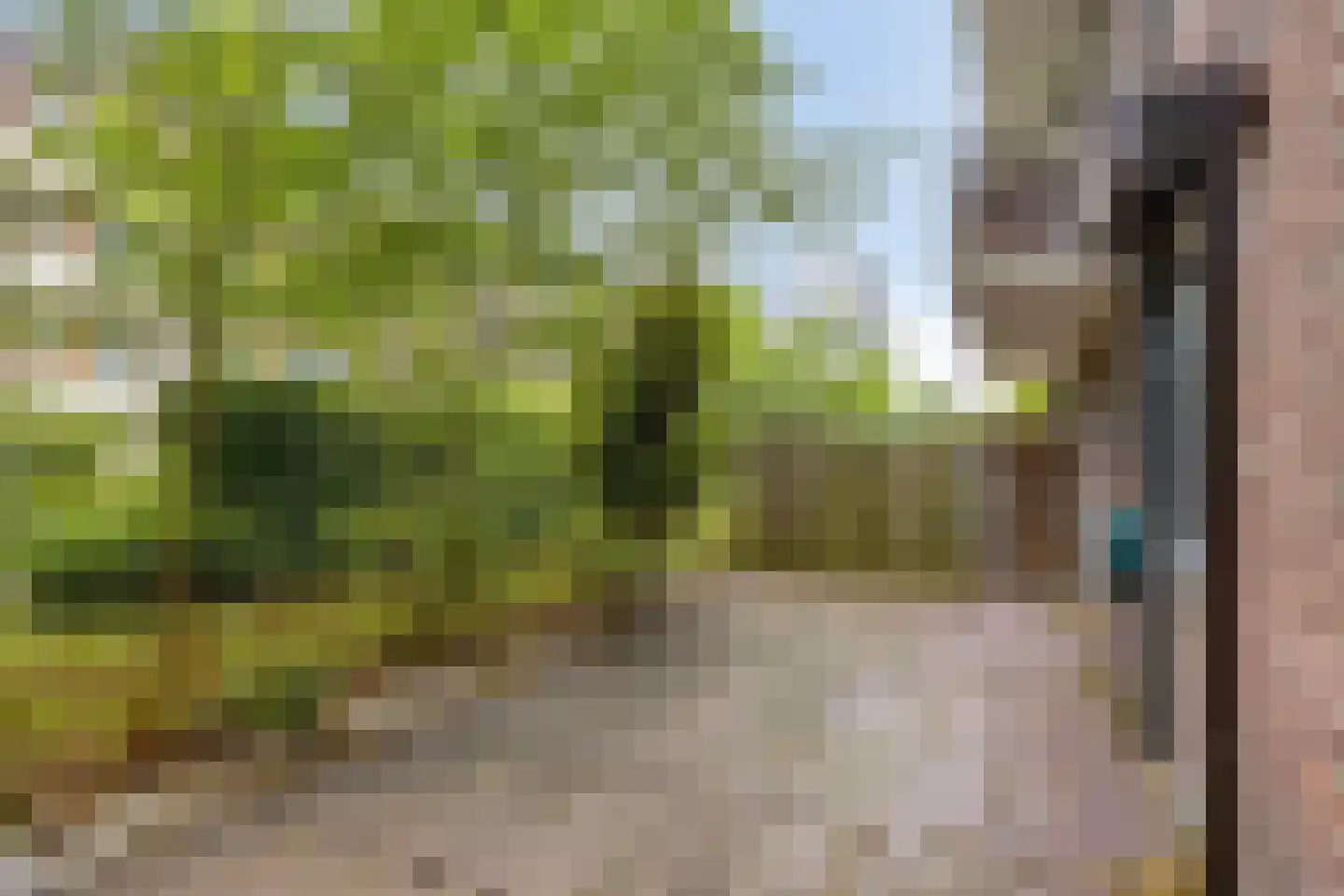 Planciusplein 20 Breda thumbnail 28