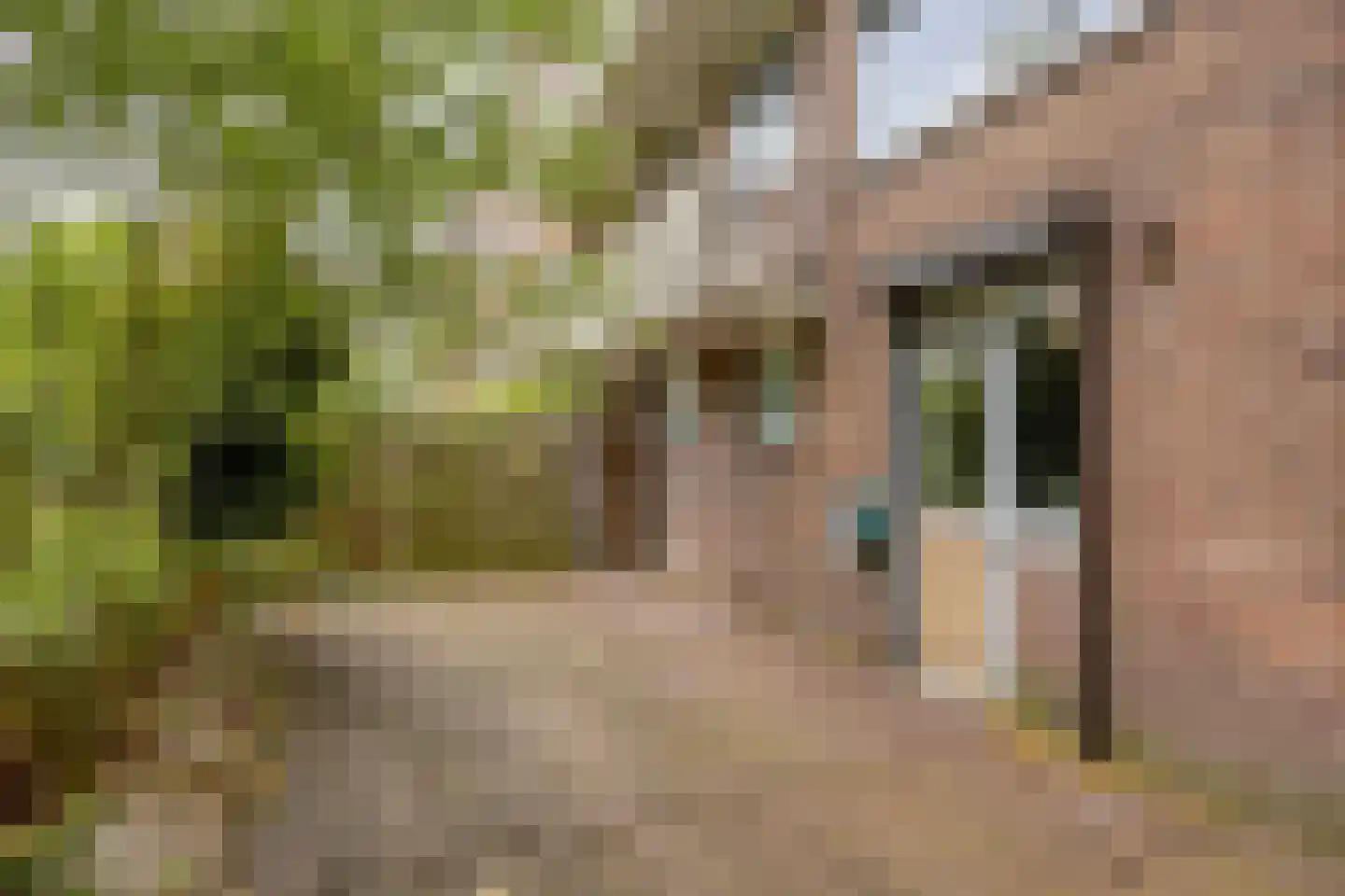 Planciusplein 20 Breda thumbnail 29