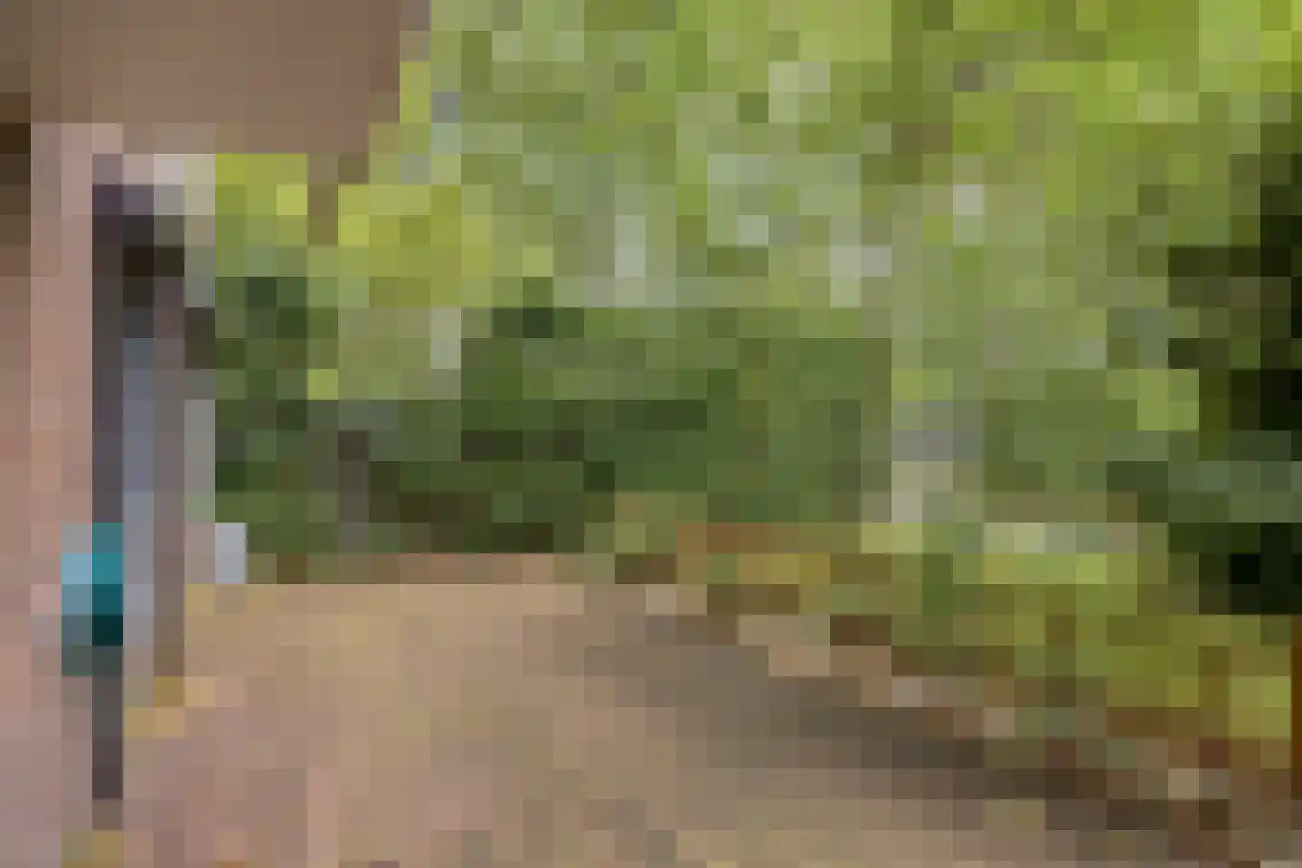 Planciusplein 20 Breda thumbnail 30