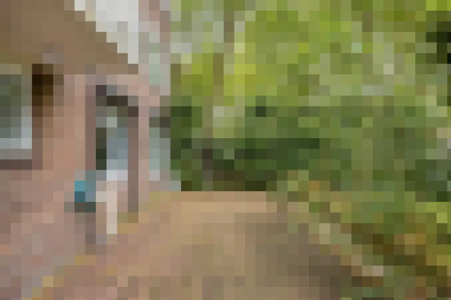 Planciusplein 20 Breda thumbnail 31