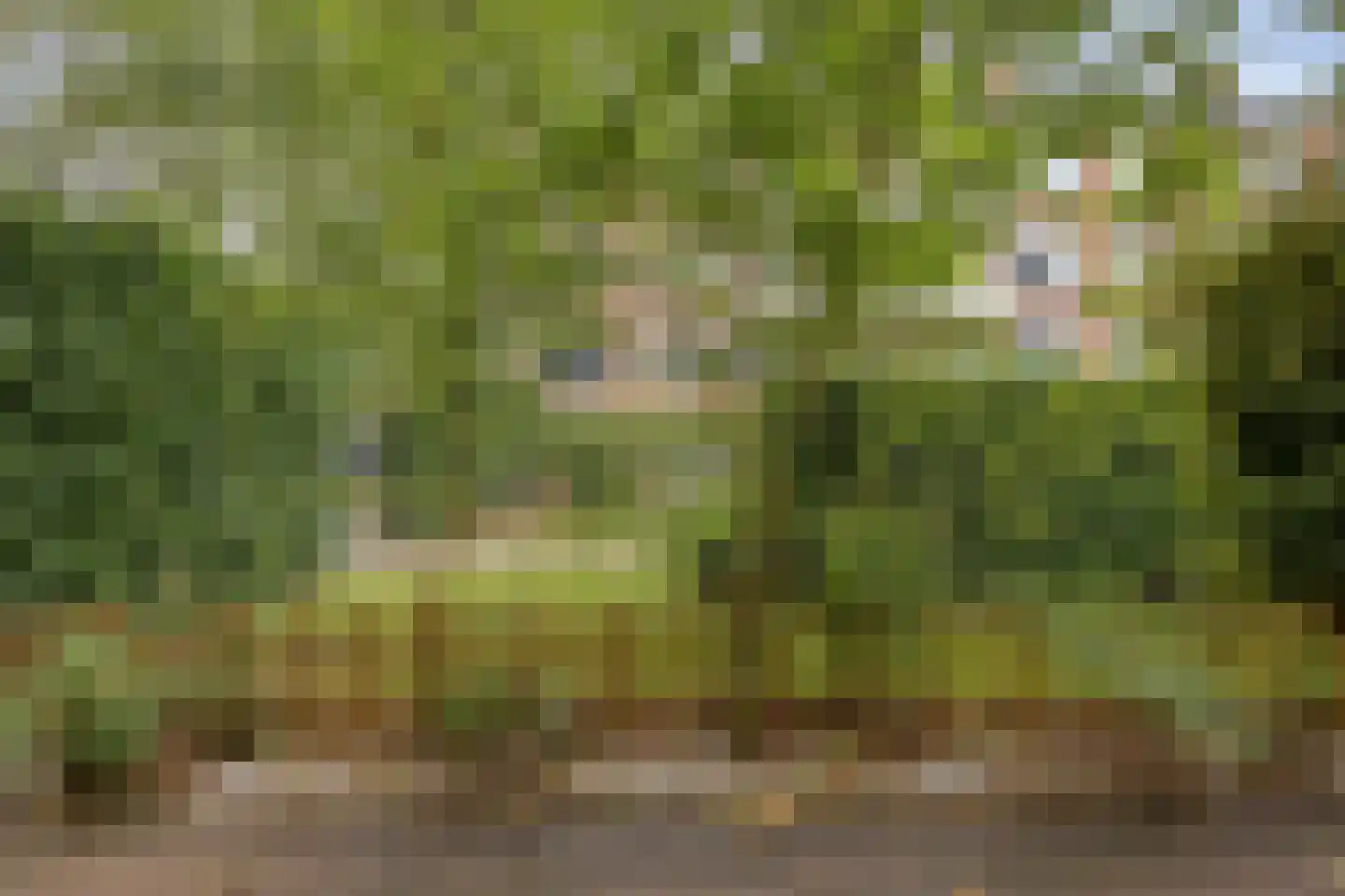 Planciusplein 20 Breda thumbnail 32