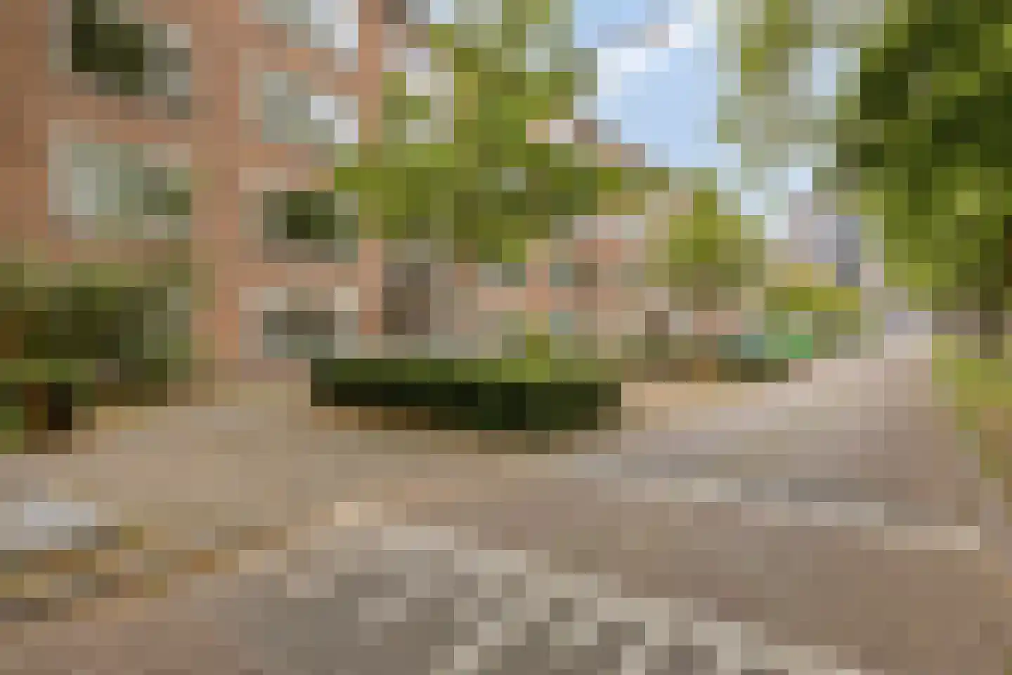 Planciusplein 20 Breda thumbnail 33