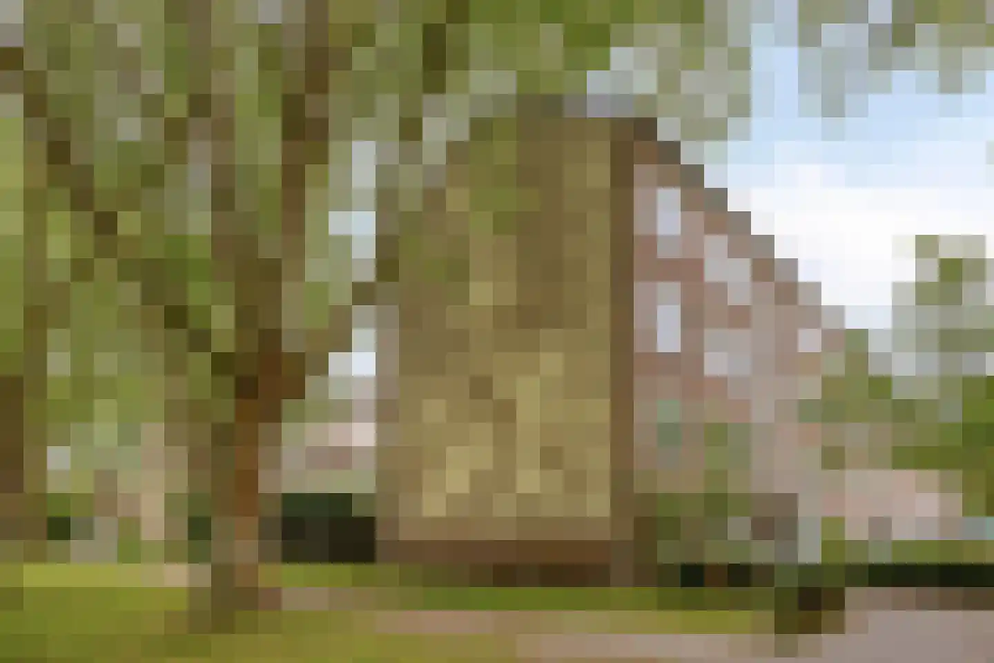 Planciusplein 20 Breda thumbnail 36