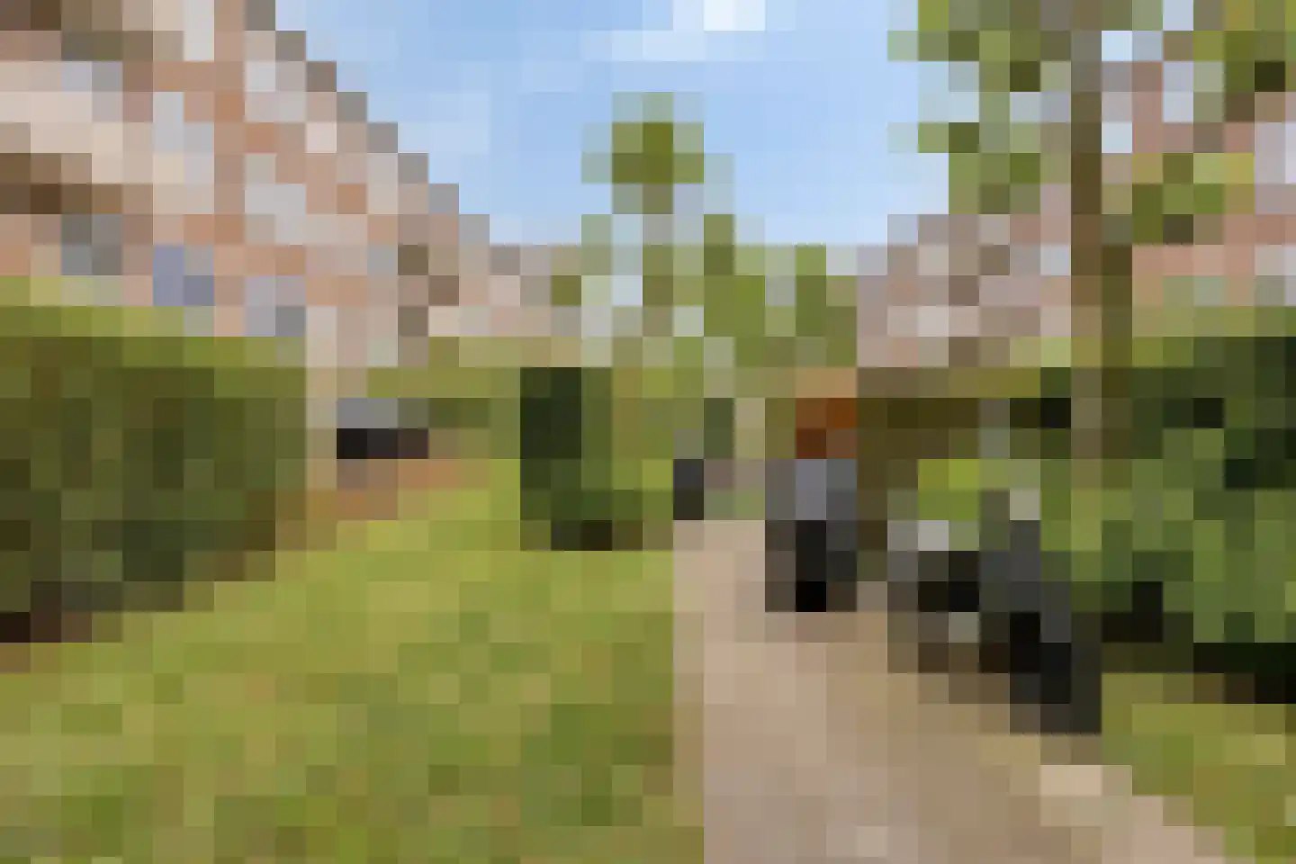 Planciusplein 20 Breda thumbnail 38