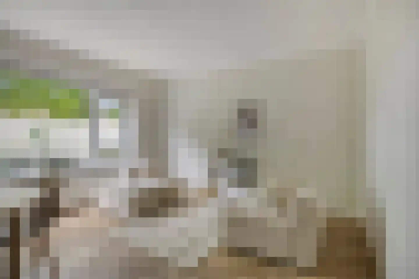 Planciusplein 20 Breda thumbnail 4