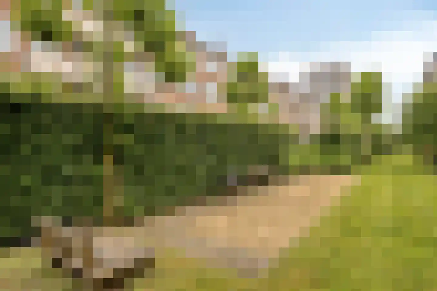 Planciusplein 20 Breda thumbnail 40