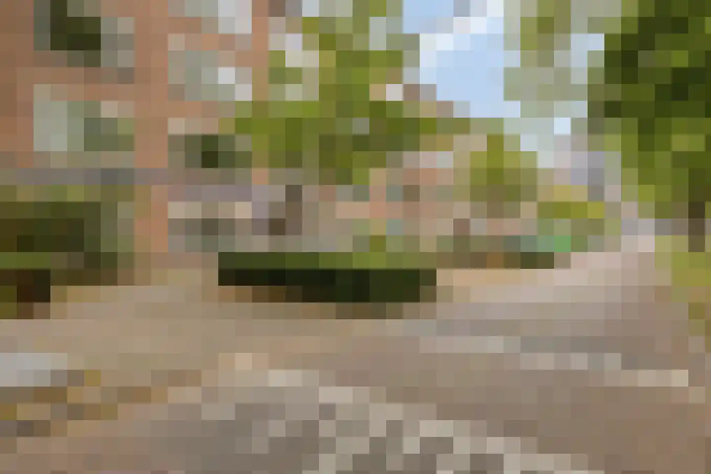 Planciusplein 20 Breda thumbnail 6