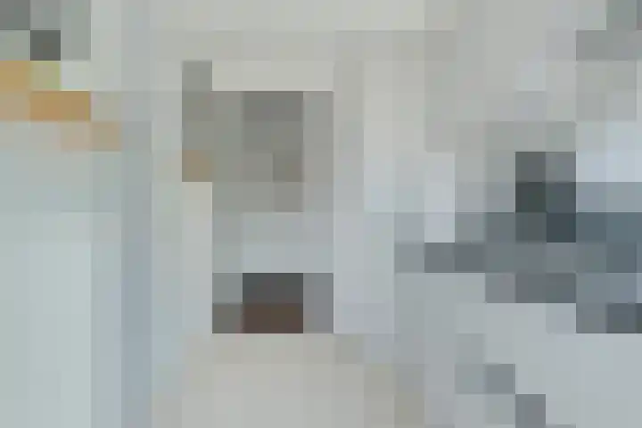 Planciusplein 20 C Breda thumbnail 10