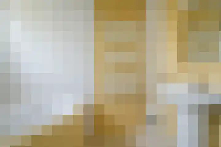 Planciusplein 20 C Breda thumbnail 11