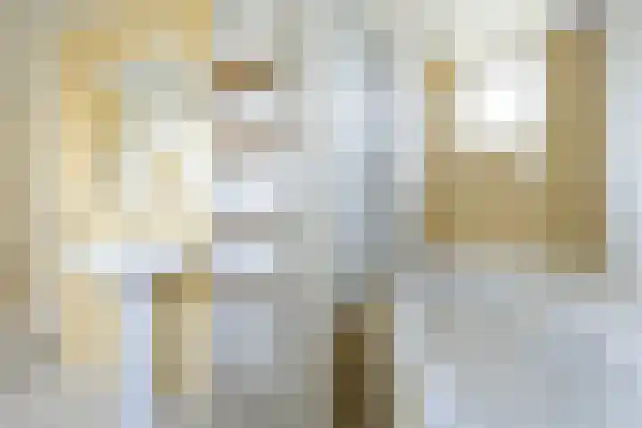 Planciusplein 20 C Breda thumbnail 12
