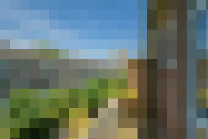 Planciusplein 20 C Breda thumbnail 13
