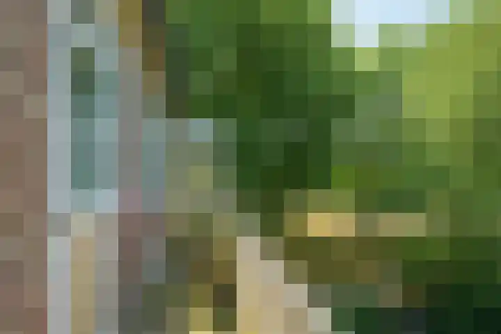 Planciusplein 20 C Breda thumbnail 14