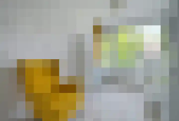 Planciusplein 20 C Breda thumbnail 16