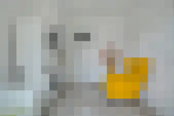 Planciusplein 20 C Breda thumbnail 17