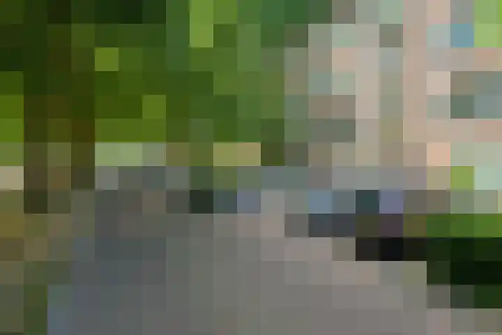 Planciusplein 20 C Breda thumbnail 25