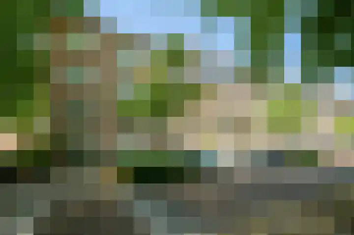 Planciusplein 20 C Breda thumbnail 29
