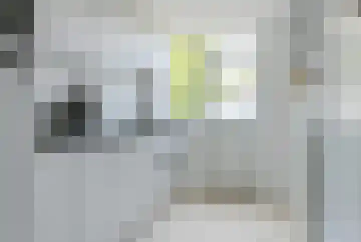 Planciusplein 20 C Breda thumbnail 8