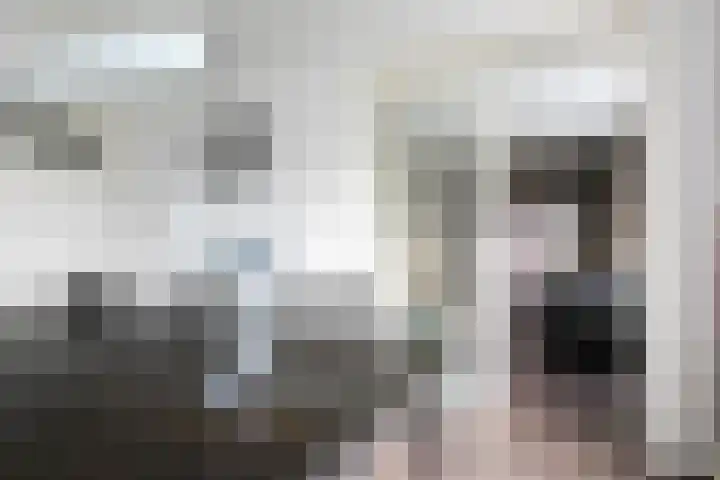 Planciusplein 4 B Breda thumbnail 17