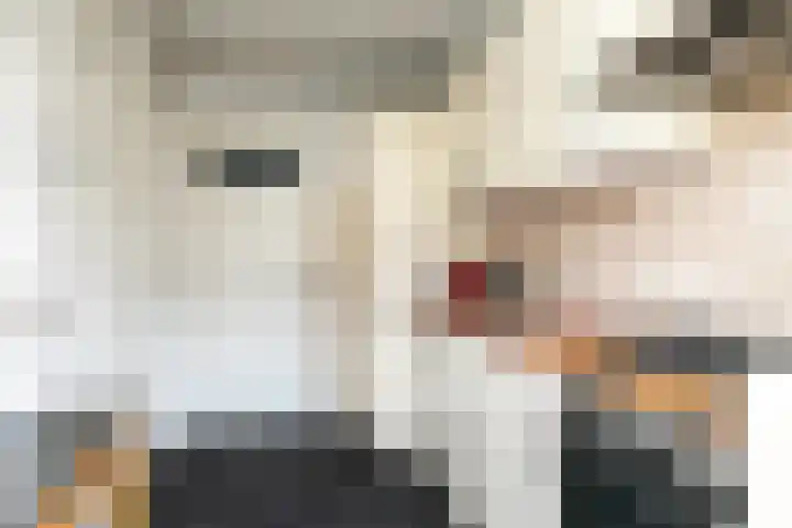 Planciusplein 4 B Breda thumbnail 20