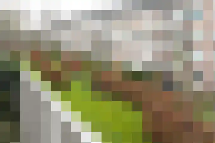 Planciusplein 4 B Breda thumbnail 21
