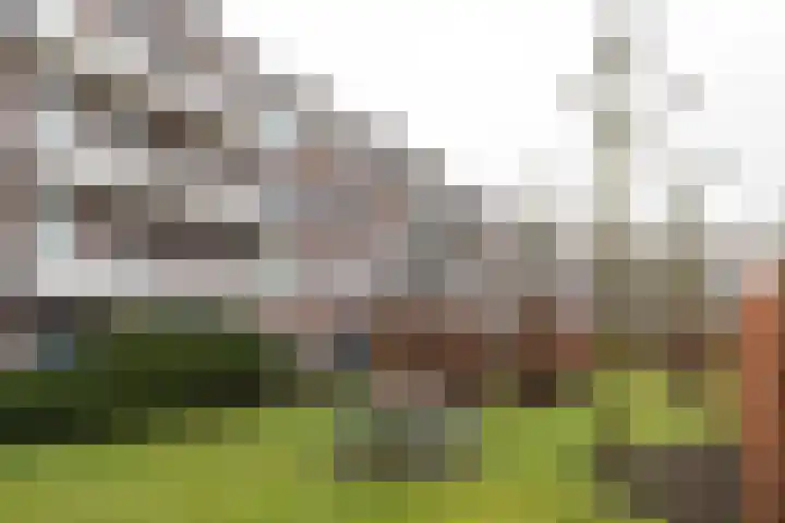 Planciusplein 4 B Breda thumbnail 26