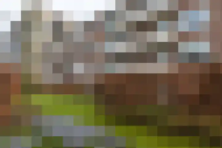 Planciusplein 4 B Breda thumbnail 28