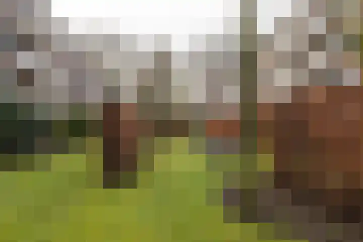 Planciusplein 4 B Breda thumbnail 29