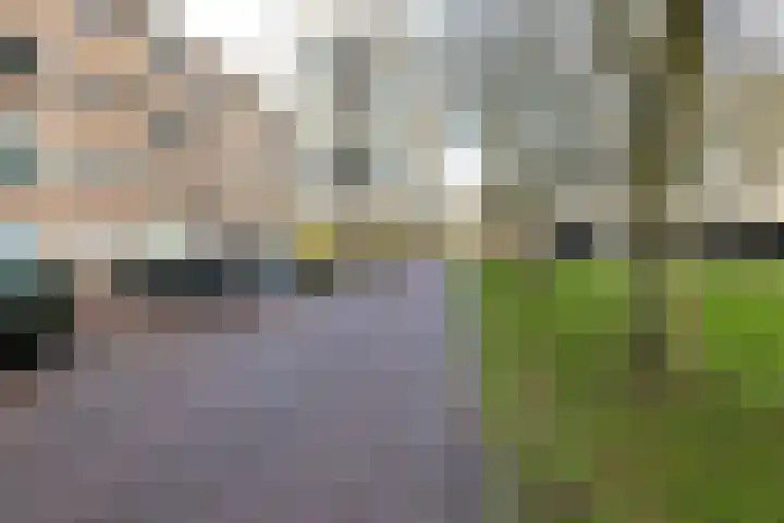 Planciusplein 4 B Breda thumbnail 32