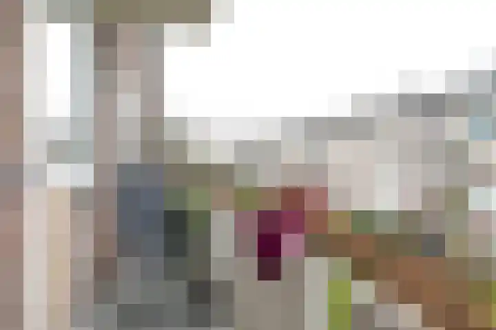 Planciusplein 4 B Breda thumbnail 6