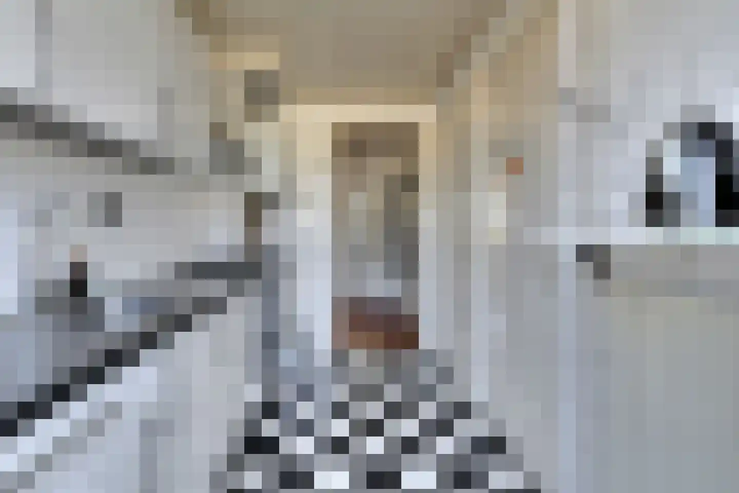 Planciusplein 6 C Breda thumbnail 4