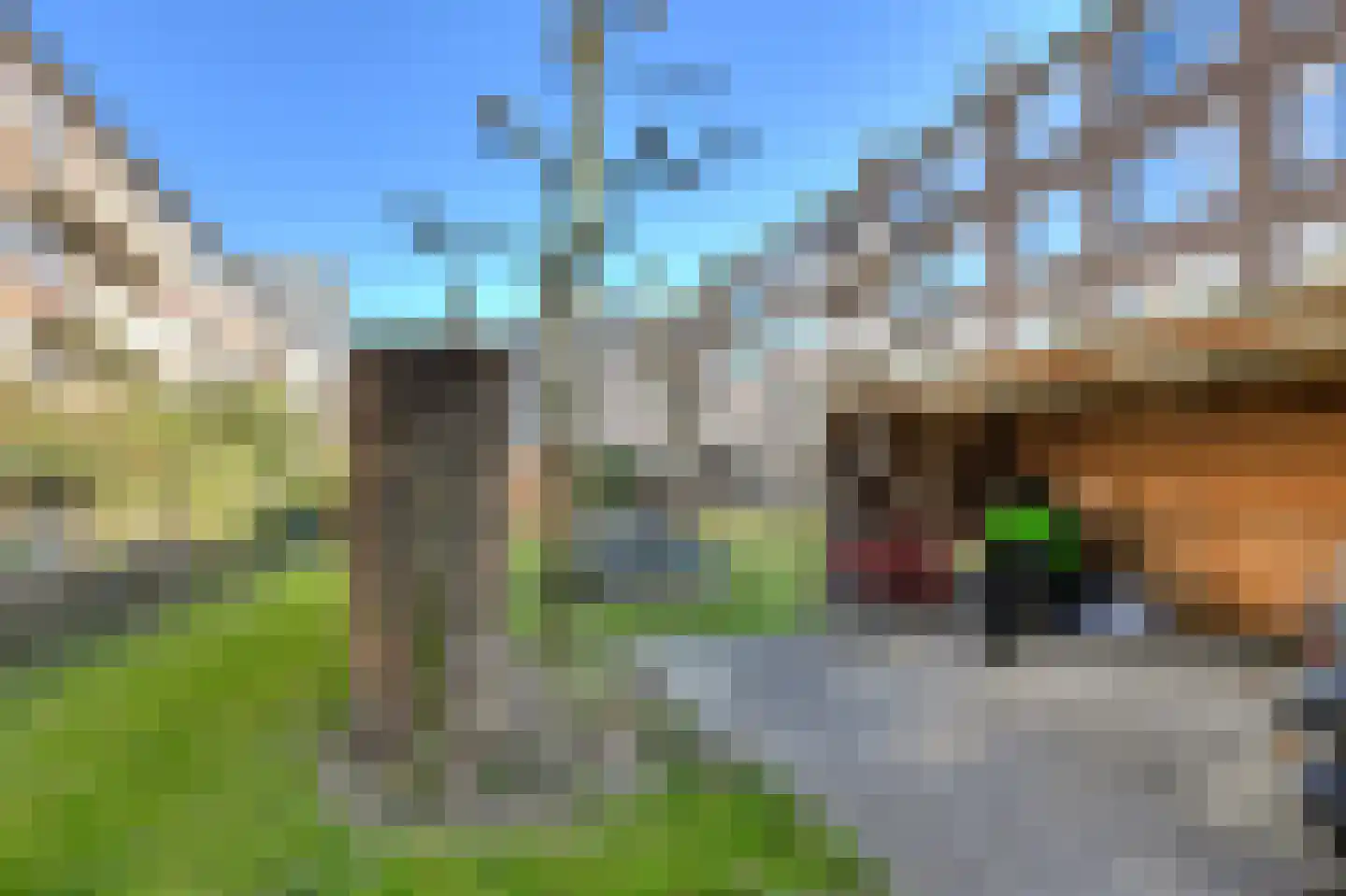 Planciusplein 6 C Breda thumbnail 6