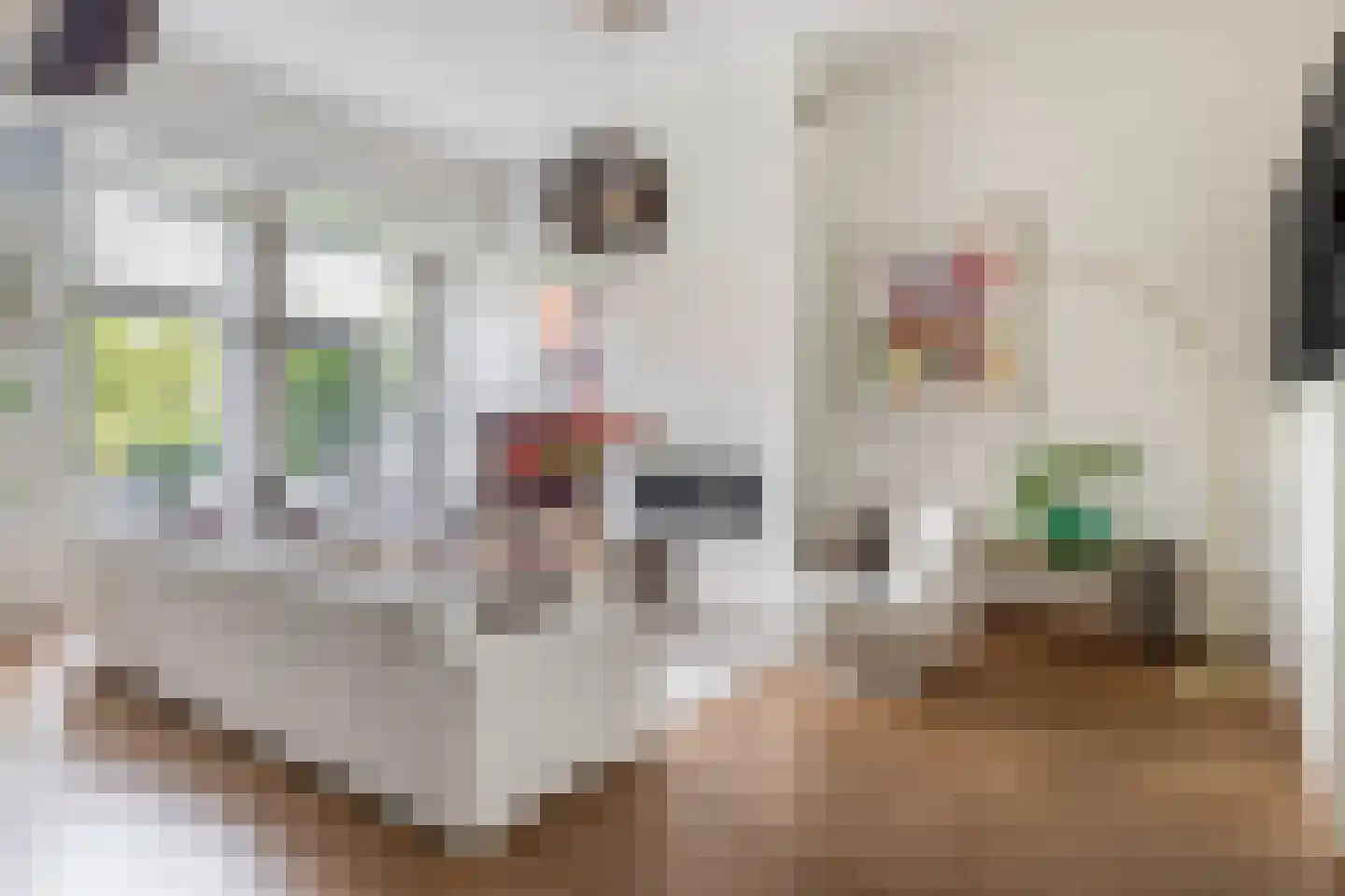 Planciusschans 11 Zoetermeer thumbnail 10