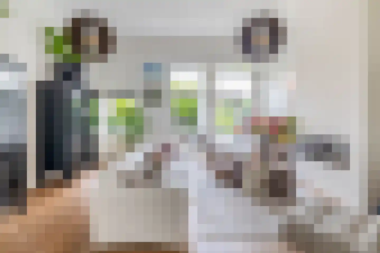 Planciusschans 11 Zoetermeer thumbnail 11