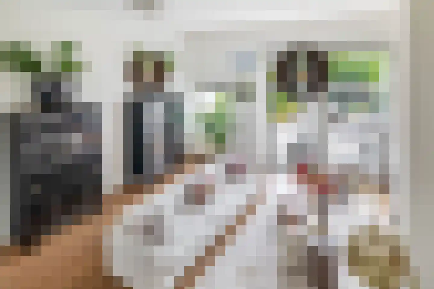 Planciusschans 11 Zoetermeer thumbnail 15
